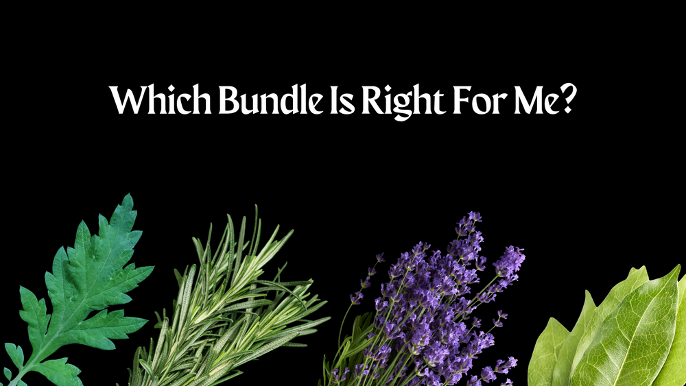 Which Bundle is Right For Me?